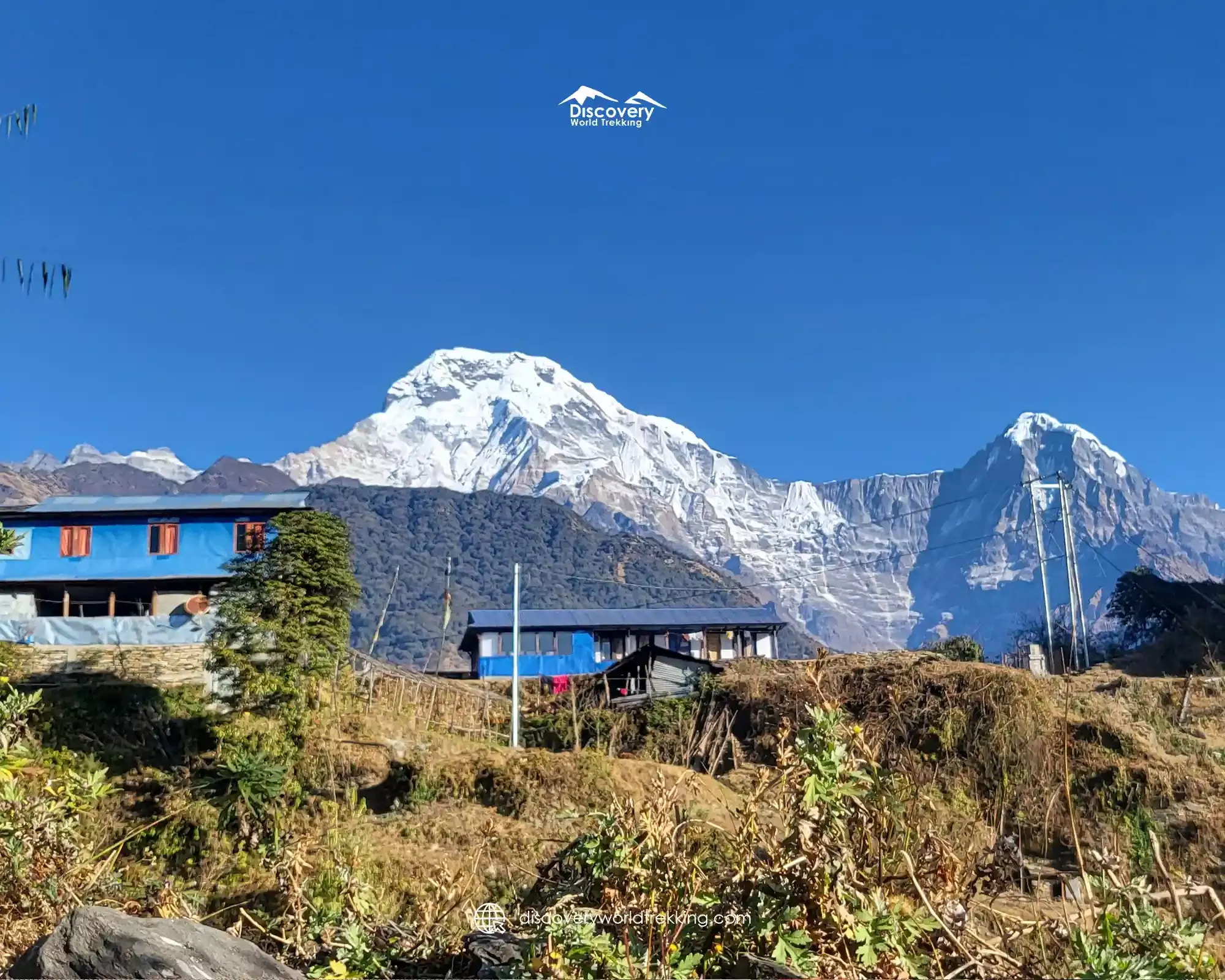 Mouintain Range
