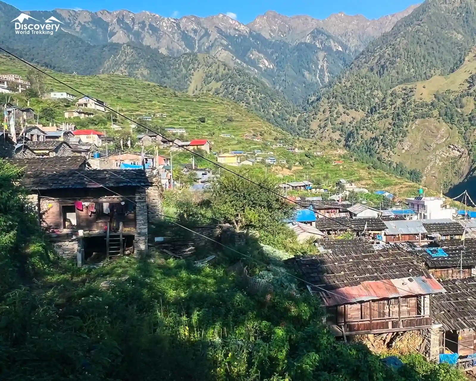 Traditional Tamang village in lush green valley during Langtang Gosainkunda Trek.