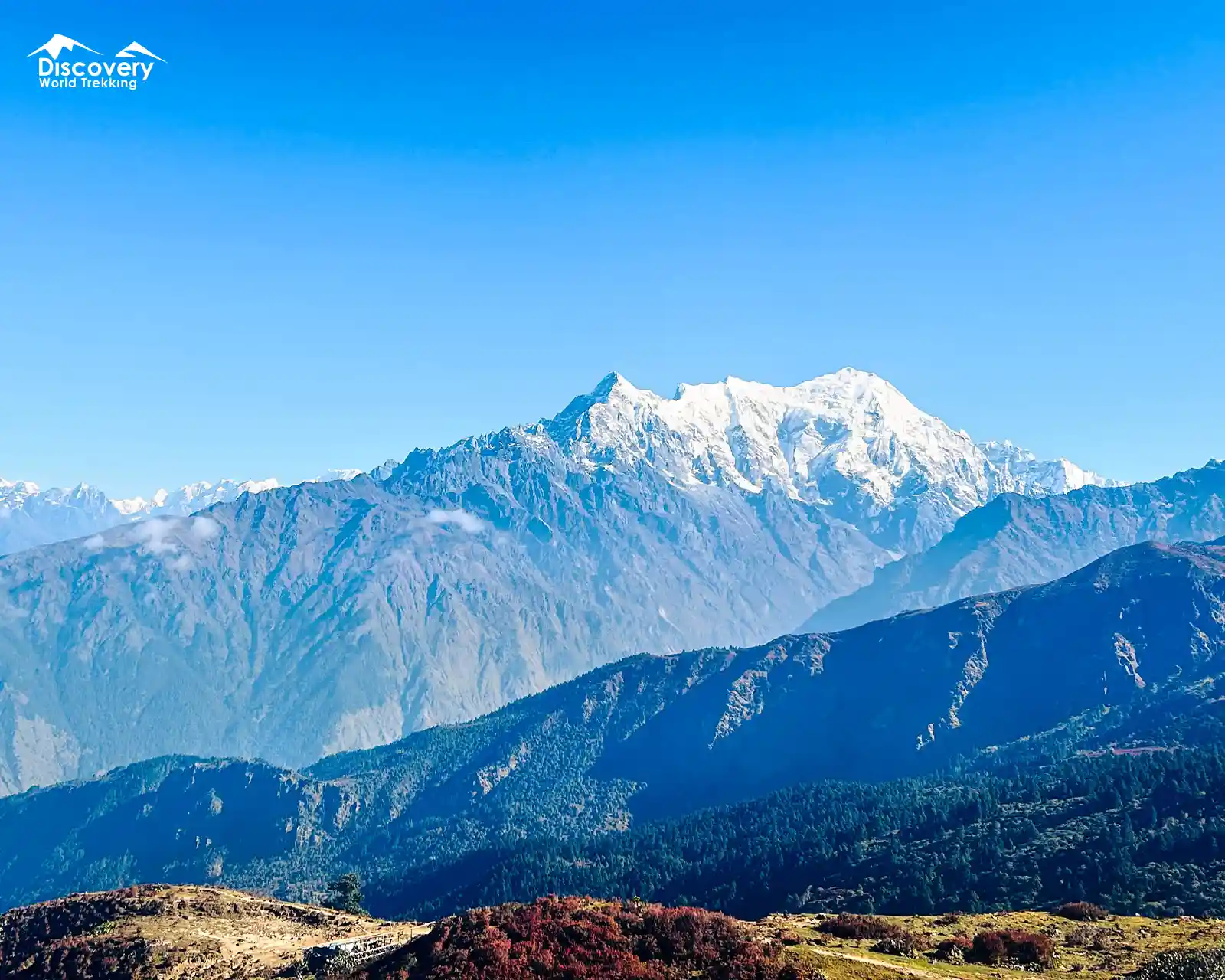Majestic snow-capped Langtang Himalayan range towering above lush green valley.