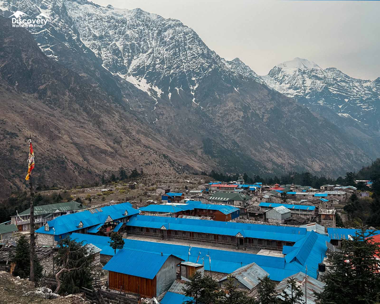 Shyala