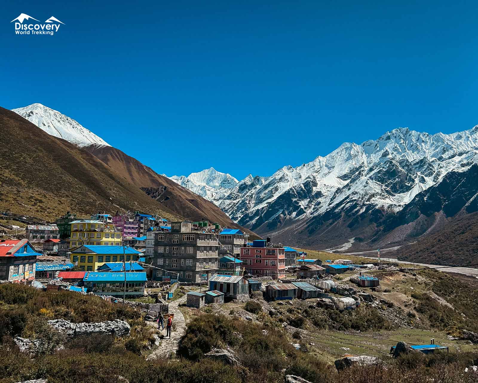 Kyanjin Gompa