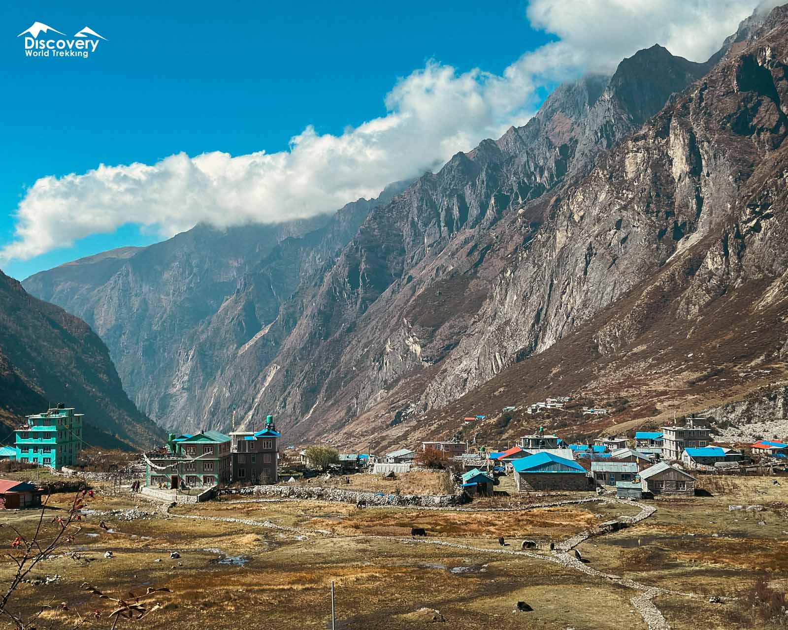 Langtang Village